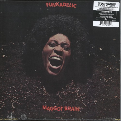 Funkadelic maggot brain - -,